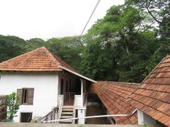 scenic view of Hill Palace in Tripunithura with lush greenery