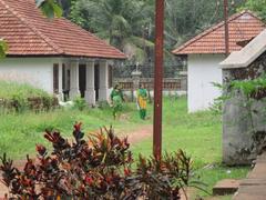 Scenic view around Hill Palace in Tripunithura