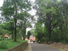 Hill Palace Tripunithura