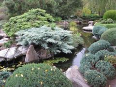 Lake at Himeji Gardens in Adelaide