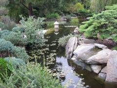 Lake at Himeji Gardens in Adelaide, South Australia