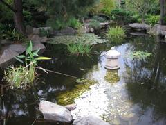 Lake at Himeji Gardens in Adelaide