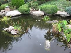 Lake at the Himeji Gardens in Adelaide