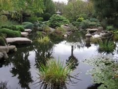 Lake at Himeji Gardens in Adelaide