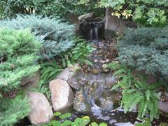 waterfall at Himeji Gardens in Adelaide