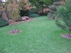 Grassed area of Himeji Gardens in Adelaide