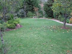 Grassed area of Himeji Gardens in Adelaide