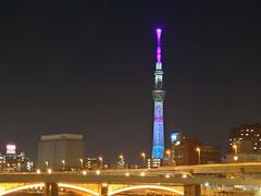 Tokyo Skytree at night