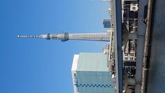 Tokyo Skytree on a clear day