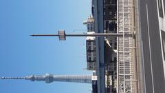 Tokyo Skytree on a clear day