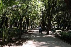 Parque España in Mexico City on a sunny day