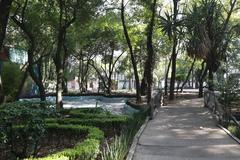 Parque España in Roma-Condesa, Mexico City