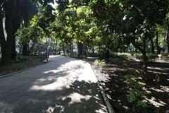 Parque España in Mexico City on a sunny day in 2021