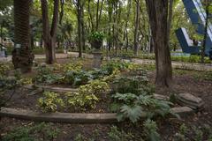 Parque España in Mexico City