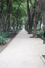 Path in Parque España, Mexico City