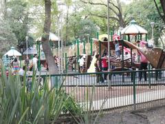 newly remodeled playground area in park