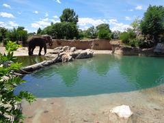 Denver Zoo entrance with visitors