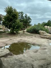 Denver Zoo entrance