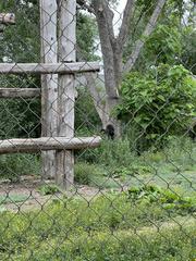 Denver Zoo entrance with visitors walking