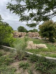 Entrance to Denver Zoo with visitors and colorful animal statues