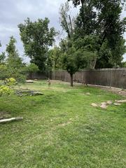 giraffe standing in outdoor enclosure at Denver Zoo