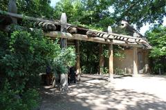 Denver Zoo lion statue