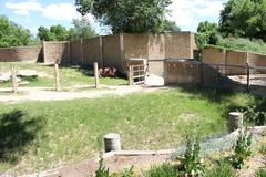 visitors viewing flamingos at Denver Zoo