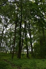 scenic view of Niederungssystem des Fredersdorfer Mühlenfließes landscape protection area in May