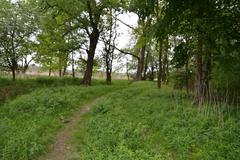 scenic landscape with green fields and a water stream