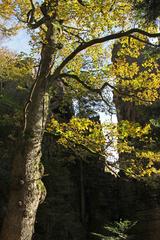 Battert mountain landscape in autumn