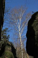 Nature on the Battert mountain in Baden-Baden