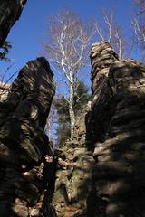 Nature on the Battert mountain in Baden-Baden