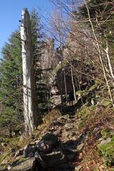 Nature on the Battert mountain in Baden-Baden