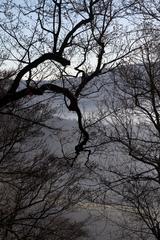 Nature on Battert mountain in Baden-Baden