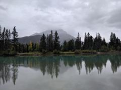 Scenic view of Banff National Park with mountains and trees