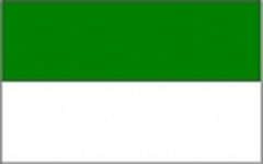 flag of Armero Guayabal