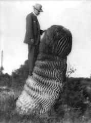 Botanist Charles Reid Barnes with cactus near Tehuacan