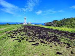 Drying caloca seaweed near Cabo Mayor lighthouse