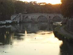 Fiume Tevere river in 2018