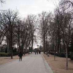 Parque de El Retiro entrance in Madrid, Spain