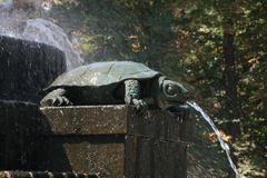 Galápago de la Fuente de los Galápagos in Retiro Park, Madrid