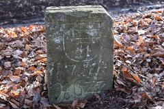 Historic border stone from 1778 in the Bürgerspitalwald forest