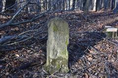 weathered historical boundary stone in Bürgerspitalwald from 1778