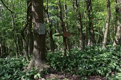 Nature reserve in Lower Austria with summit cross and register on Speichberg.