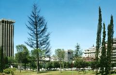 The Discovery Gardens in Madrid, 1978 with a dead cedar