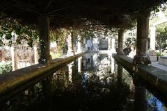 Fountain with goldfish in Jardí del Bisbe, Palma de Mallorca