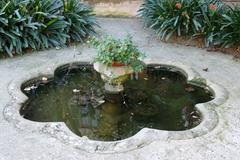 Fountain with goldfish in Jardí del Bisbe