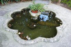 Fountain with goldfish in Jardí del Bisbe, Palma de Mallorca