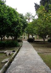 Jardí Del Bisbe