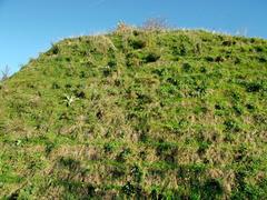 Himmelsberg at Baakenpark in Hamburg with vegetation